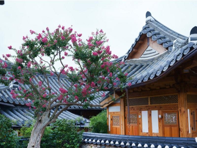 Dajeong Guesthouse Jeonju Exterior photo
